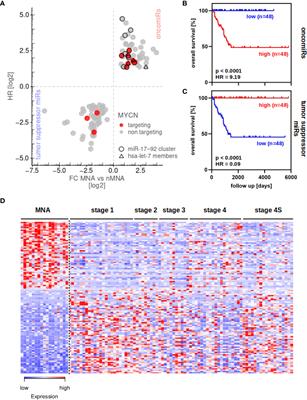 The MicroRNA Landscape of MYCN-Amplified Neuroblastoma